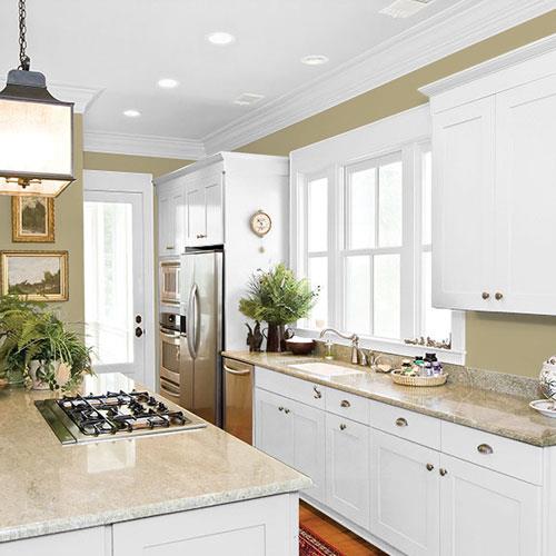 Tarnished Gold Heirloom - Sage Green Paint Color | PPG Paints 45YY 36/196