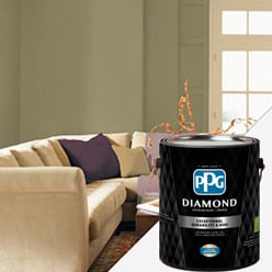 PPG DIAMOND<sup>™</sup>