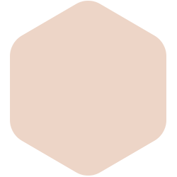 Blush Beige  PPG1070-2