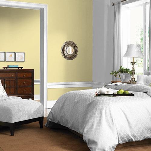 Summer Cottage Yellow - Green Paint Color | PPG Paints 60YY 75/296