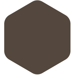 Earth Brown 00YY 07/093