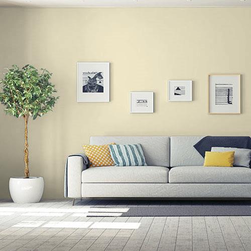 Sunlit Meadow - Farmhouse Green Paint Color | PPG Paints 60YY 69/153