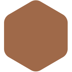 Foxfire Brown PPG1069-6