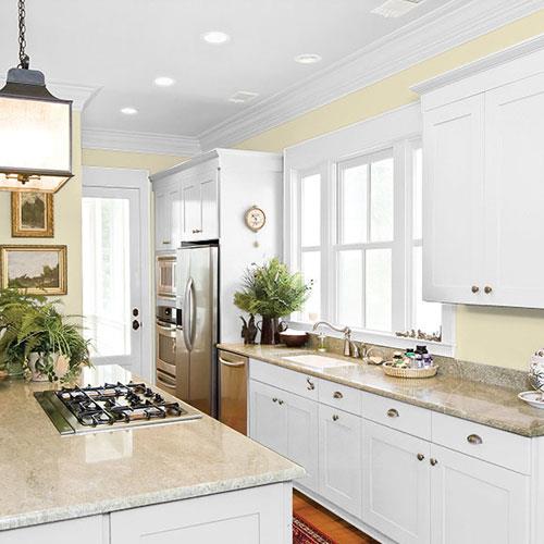 Sunlit Meadow - Farmhouse Green Paint Color | PPG Paints 60YY 69/153