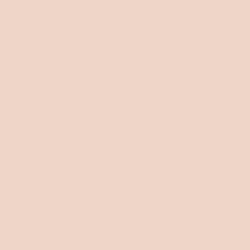 Blush Beige PPG1070-2