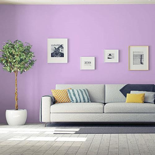 Sea Lavender PPG1250-4