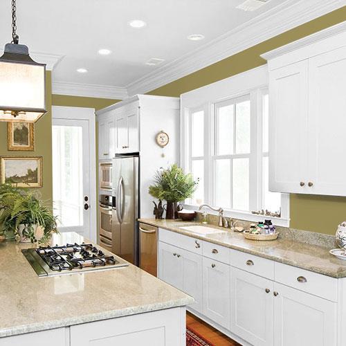 Vintage Olive - Sage Green Paint Color | PPG Paints 50YY 26/289