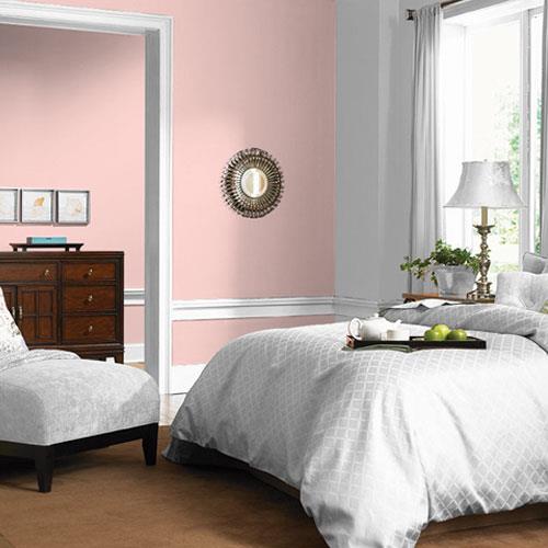 Fairytale Pink 24YR 72/146