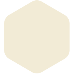 Mesa Beige PPG1092-2