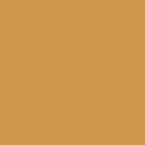 Allspice PPG1207-6