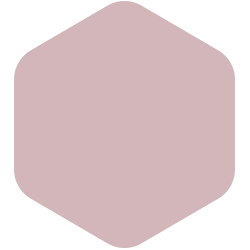 Rose Stain  PPG1048-4