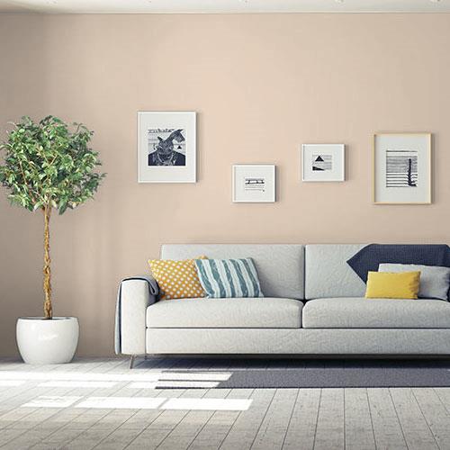 Cocoa Cream PPG1079-3