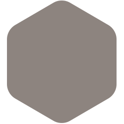 Elephant Gray PPG1005-5