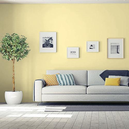 Summer Cottage Yellow - Green Paint Color | PPG Paints 60YY 75/296